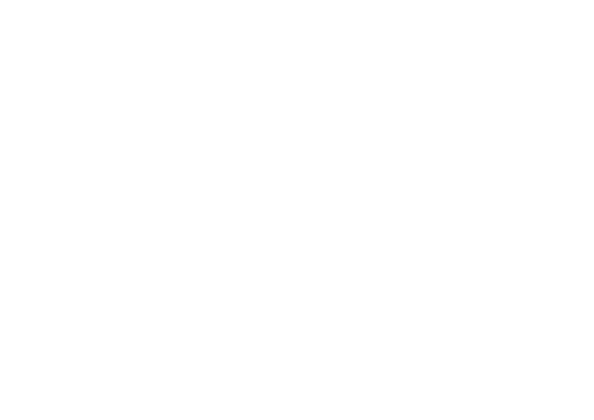 Chiva parrandera eventos tlp